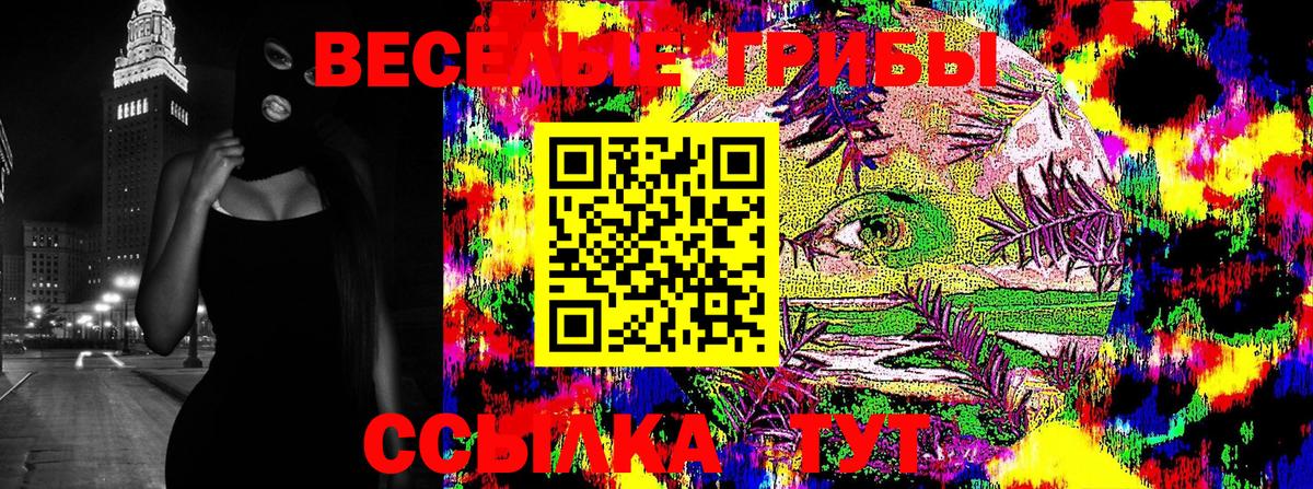 Псилоцибиновые грибы MAGIC MUSHROOMS  Галлюциногенные грибы GOLDEN TEACHER  Ноябрьск  Вход с VPN 